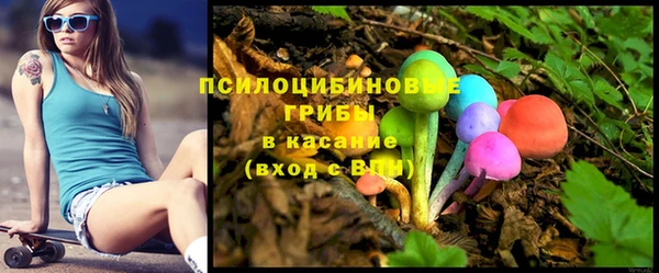 дмт Алзамай