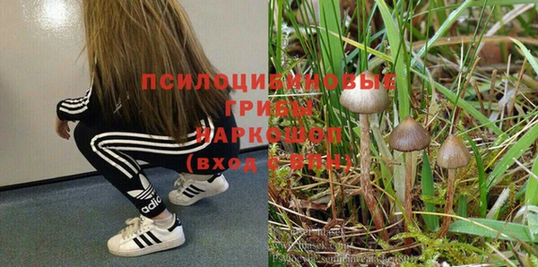 а пвп мука Алексеевка